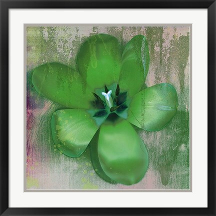  Erin Clark Tulip Fresco (green) 