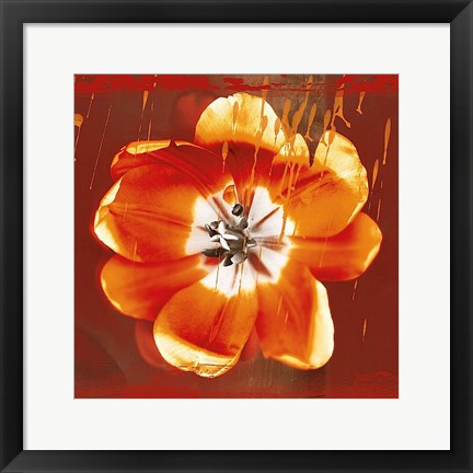 Framed Tulip Fresco (red) Print