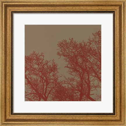Framed Cinnamon Tree I Print