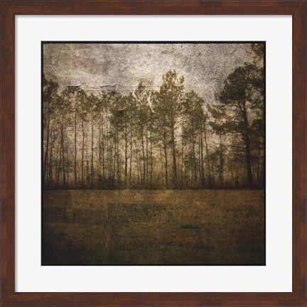 Framed Line of Pines Print