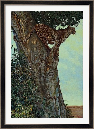Framed On the Lookout Print