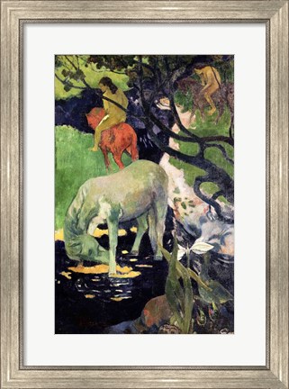 Framed White Horse, 1898 Print