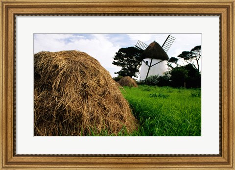 Framed Traditional windmill in a field, Tacumshane Windmill, Ireland Print
