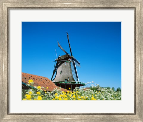 Framed Windmill, Zaanse Schans, Netherlands In Flowers Print