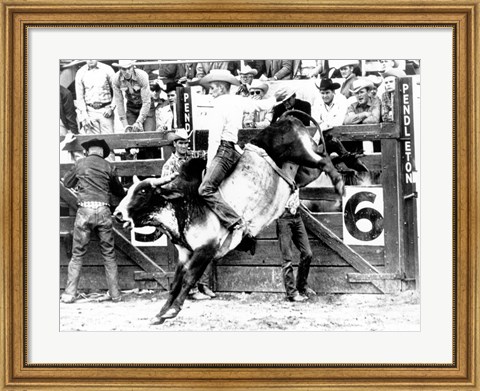Framed Side profile of a cowboy riding a bull at a rodeo Print