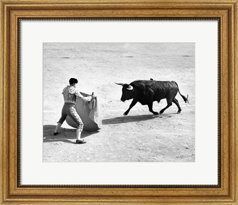 Framed High angle view of a bullfighter with a bull in a bullring, Madrid, Spain Print