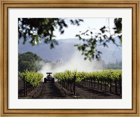 Framed Tractor in a field, Napa Valley, California, USA Print