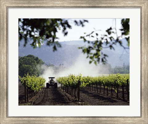 Framed Tractor in a field, Napa Valley, California, USA Print