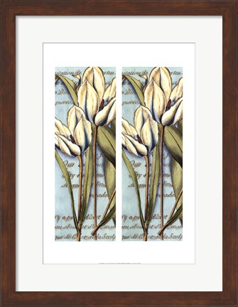 Framed 2up French Tulip I Print