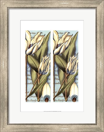 Framed 2up French Tulip II Print