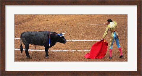 Framed Bull and Matador Stand Off Print