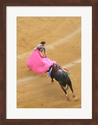 Framed Matador Bullfight Print