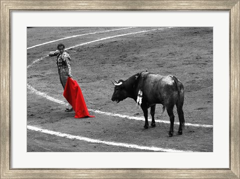 Framed Red Matador I Print