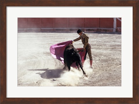 Framed Matador fighting with a bull, Spain Print