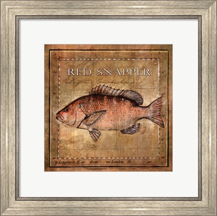 Framed Ocean Fish VII Print