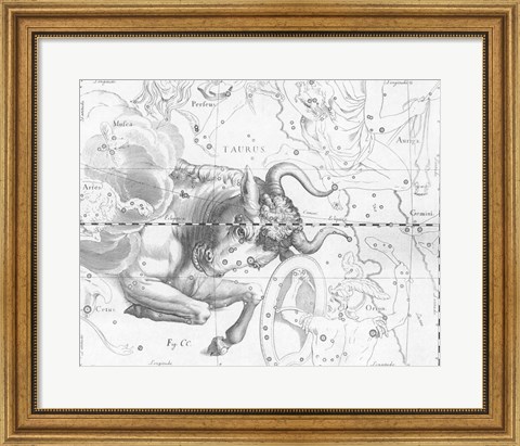 Framed Taurus by Johannes Hevelius Print
