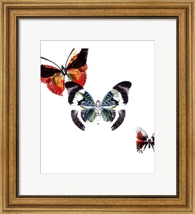 Framed Butterflies Dance III Print