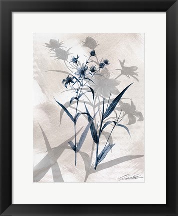 Framed Indigo Bloom IV Print