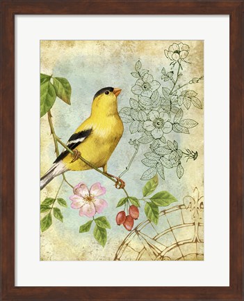 Framed Songbird Sketchbook III Print