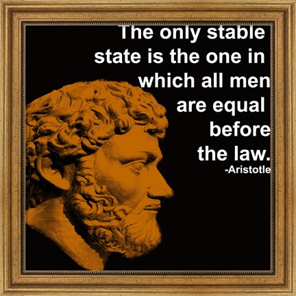 Framed Aristotle Quote Print