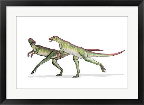 Framed Lesothosaurus Print