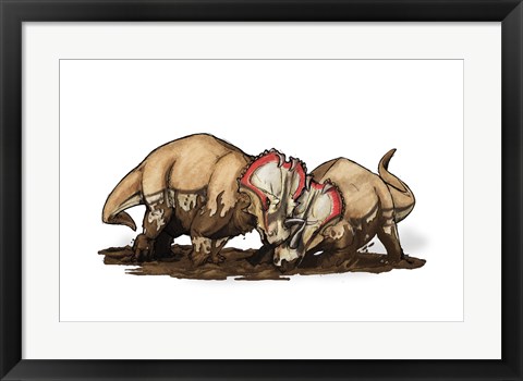 Framed Centrosaurus Print