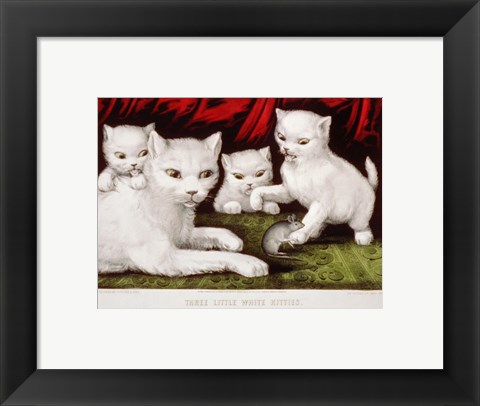 Framed Three Little White Kitties Print