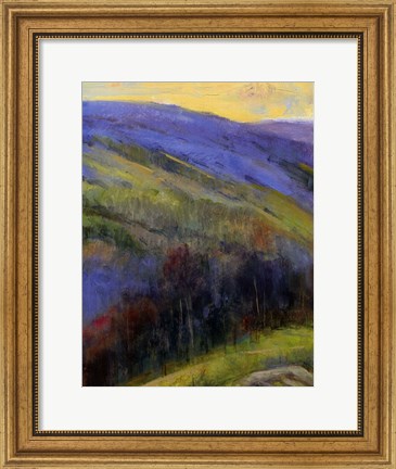 Framed Mountain View IV Print