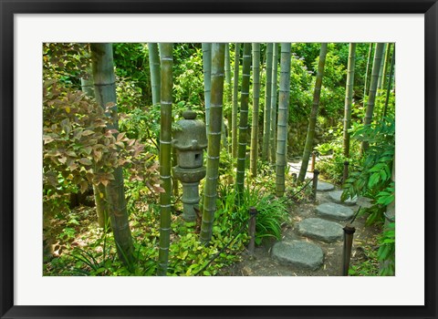 Framed Hasedera-Bamboo Grove Print