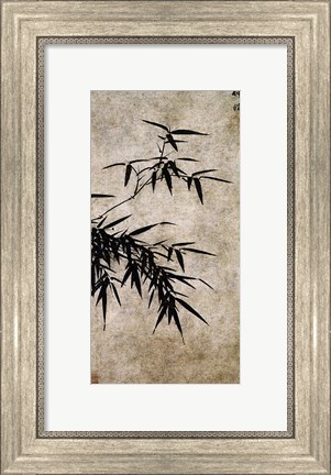 Framed Xia Chang- Ink Bamboo Print