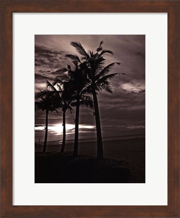 Framed Palms At Night III Print