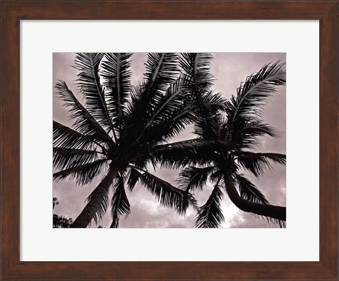 Framed Palms At Night V Print