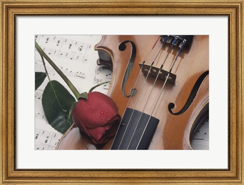 Framed Violin Print