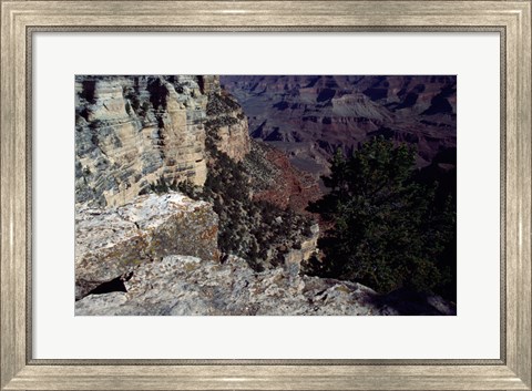 Framed Looking Down Into the Grand Canyon Print