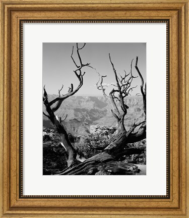 Framed USA, Arizona, Grand Canyon, Colorado River seen from South Rim Print