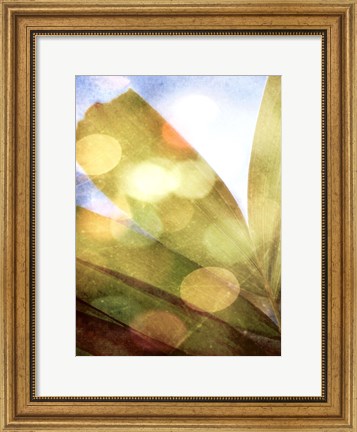 Framed Tropical Daydream II Print