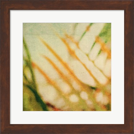 Framed Tropical Texture I Print
