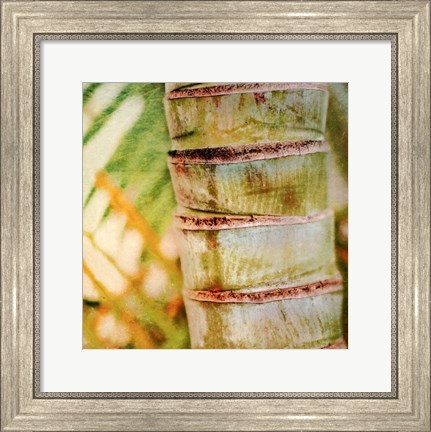 Framed Tropical Texture II Print