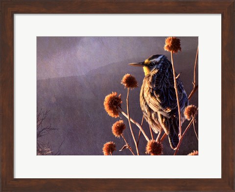 Framed Meadowlark Print