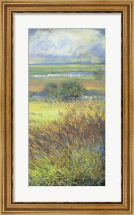 Framed Shimmering Marsh II Print