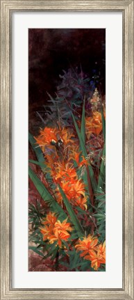 Framed Wild Lily Garden I Print