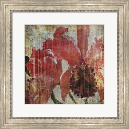 Framed Pacific Orchid I Print