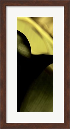 Framed Leaf Detail II Print
