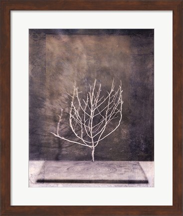 Framed Desert Form II Print