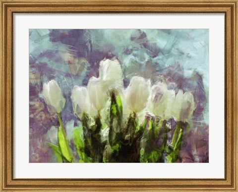 Framed Sunlit Tulips II Print
