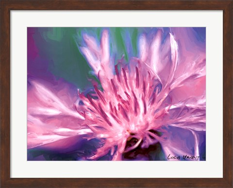 Framed Painterly Flower VIII Print