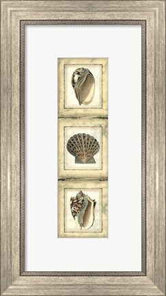Framed Small Rustic Shell Panel I Print