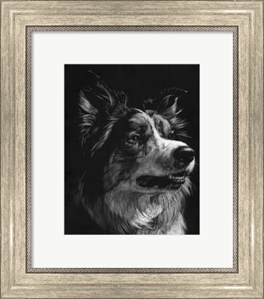 Framed Canine Scratchboard IV Print