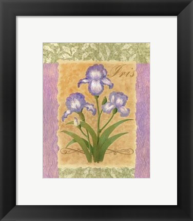 Framed Sweet Iris Print