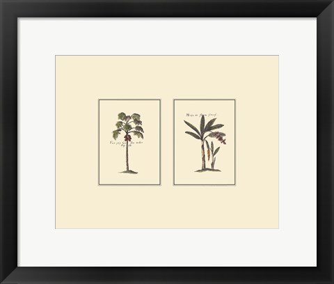 Framed Miniature Palm I Print